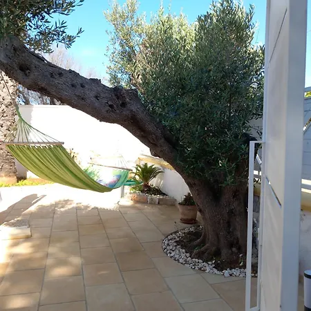 Alessandro House Holiday home *